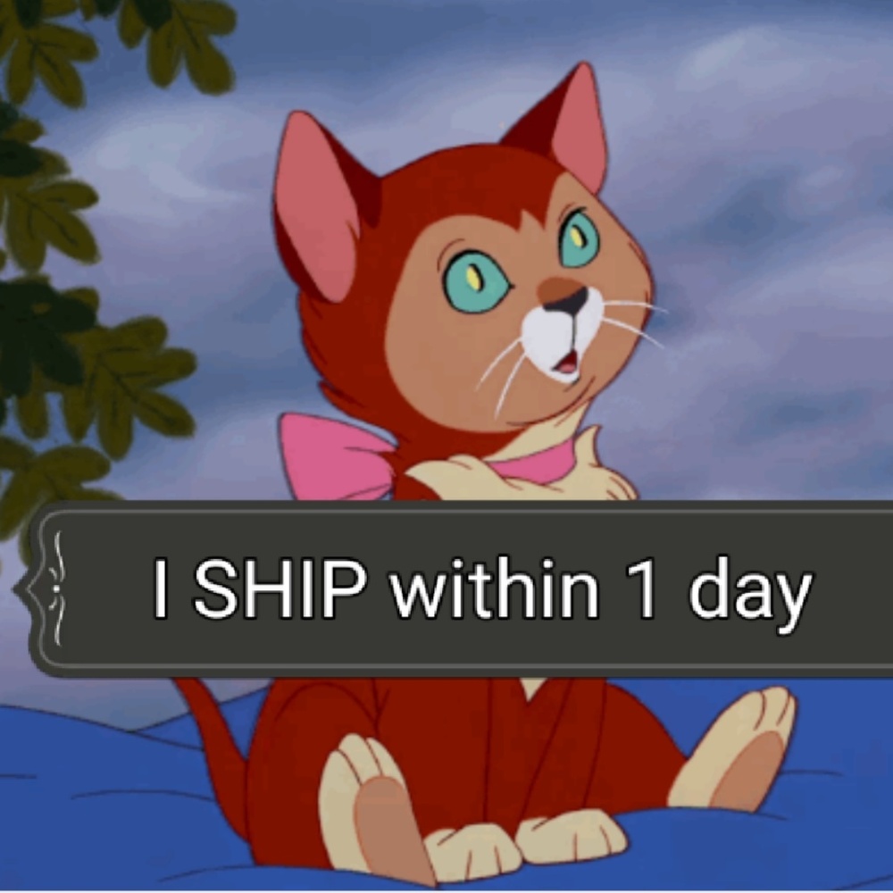 Shipping time